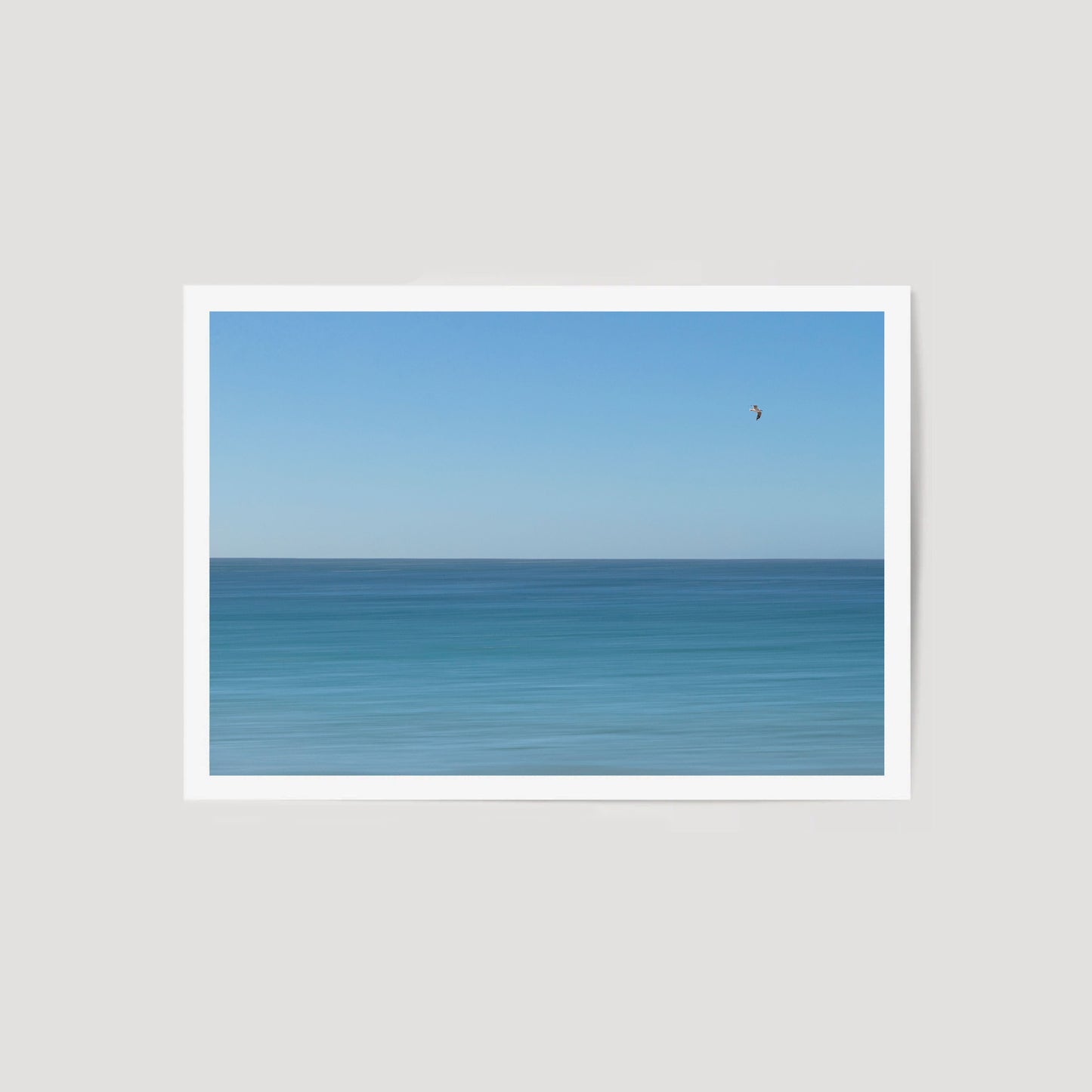 BLUE BIRD.