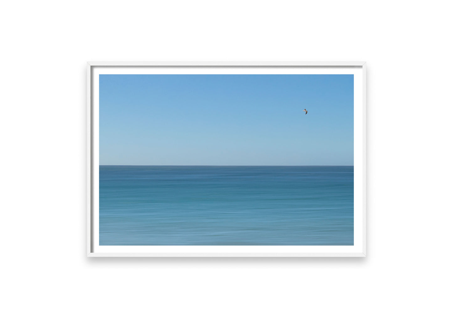 BLUE BIRD.