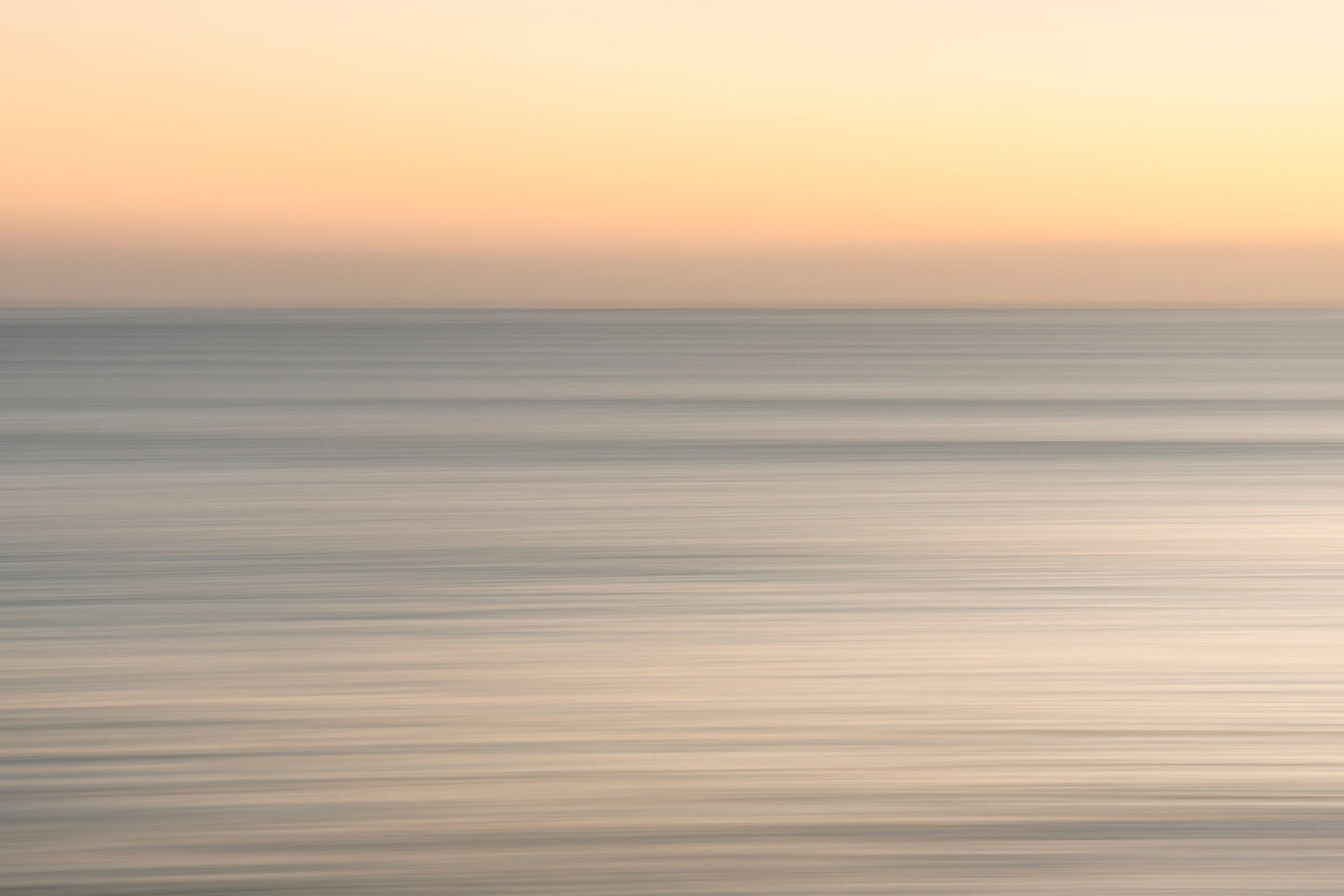 CITRUS SUNRISE.