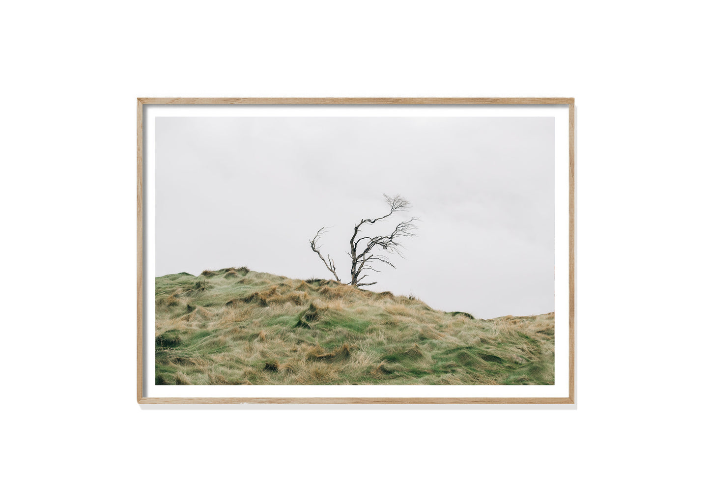 WESTERLY.
