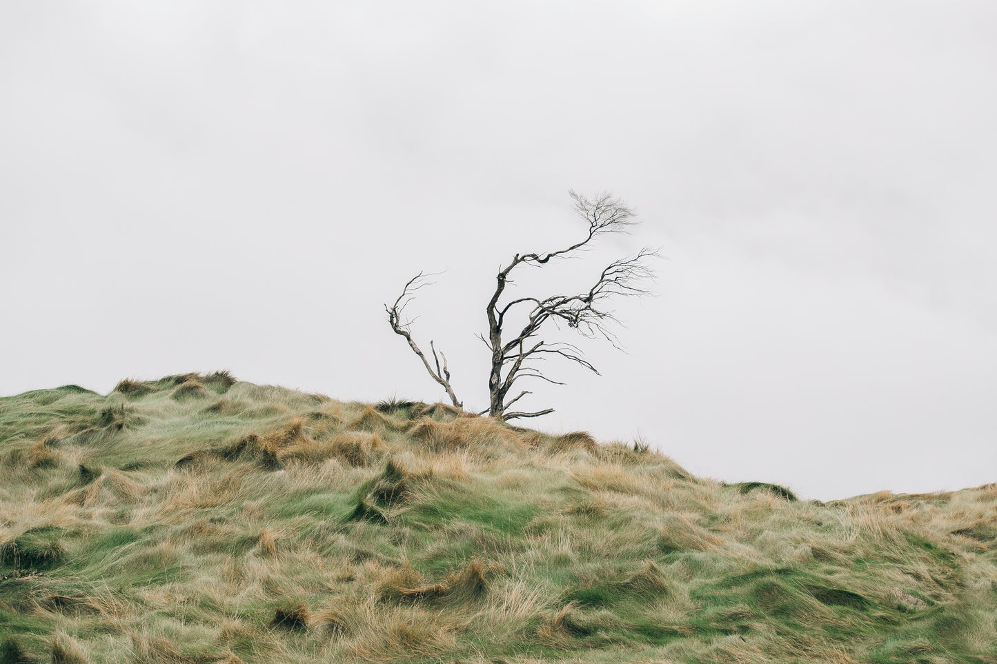 WESTERLY.