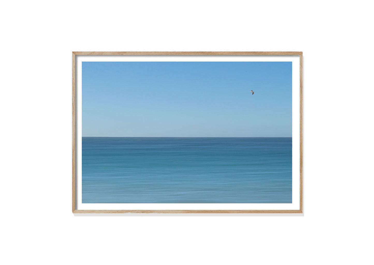 BLUE BIRD.