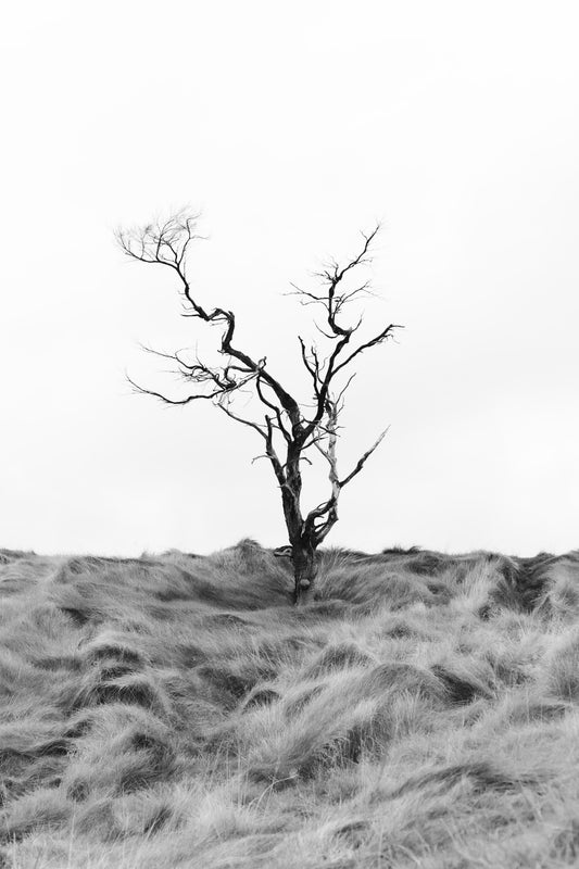 SLENDERMAN.