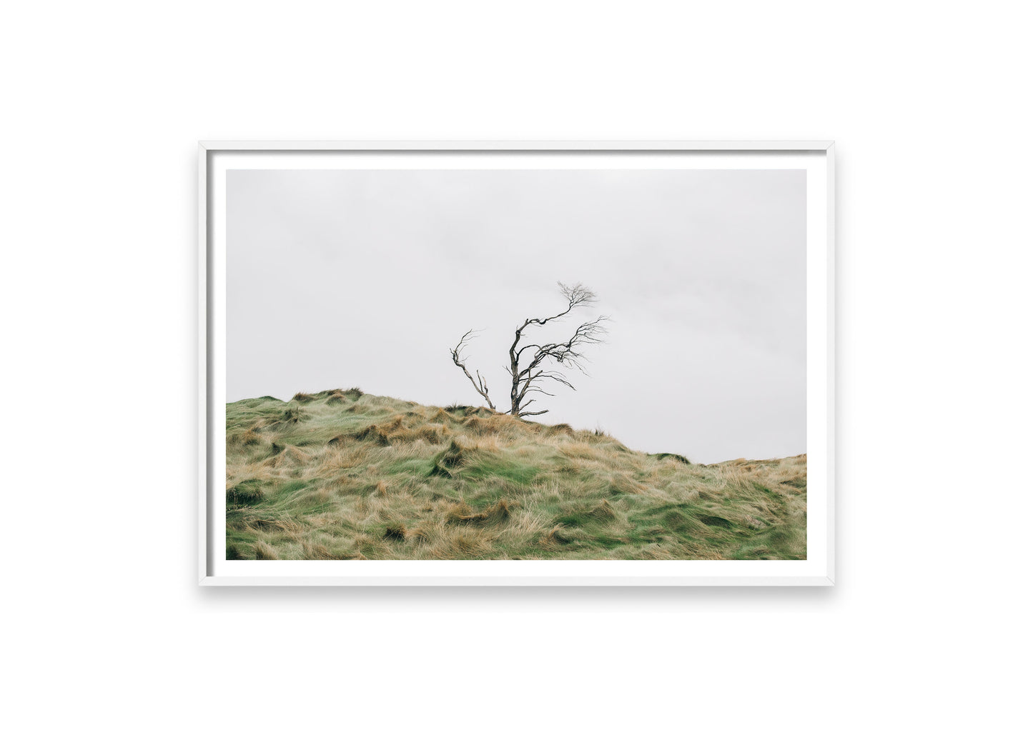 WESTERLY.