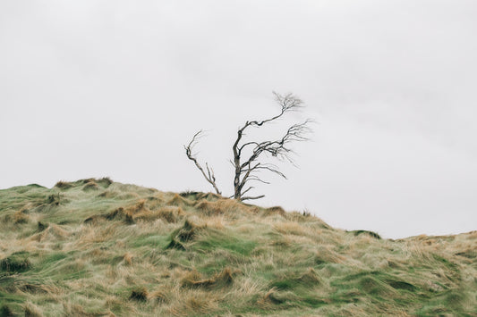 WESTERLY.